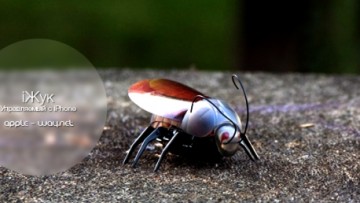 Жук, управляемый с iPhone