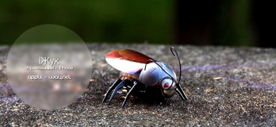 Жук, управляемый с iPhone
