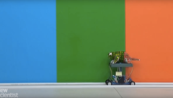 Робот-хамелеон, созданный на 3D-принтере