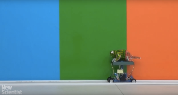 Робот-хамелеон, созданный на 3D-принтере