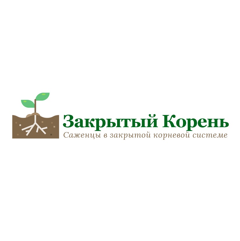 Пушкинский питомник растений московская область. Питомник корни. Питомник закрывается. Питомник корни в Тульской области. Курские корни питомник растений.